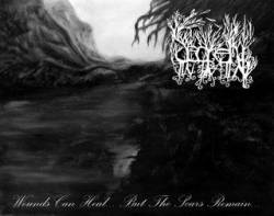 Secretly In Pain : Wounds Can Heal... But the Scars Remain... Secretly In Pain : Wounds Can Heal... But the Scars Remain...